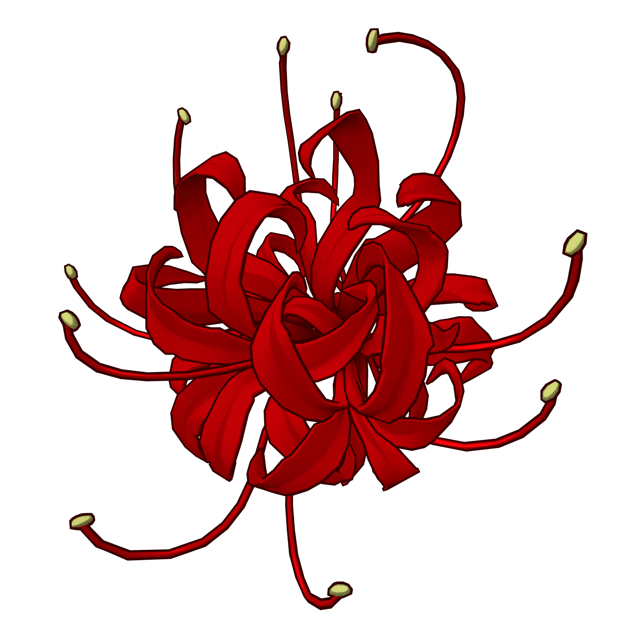 Red Spider Lily