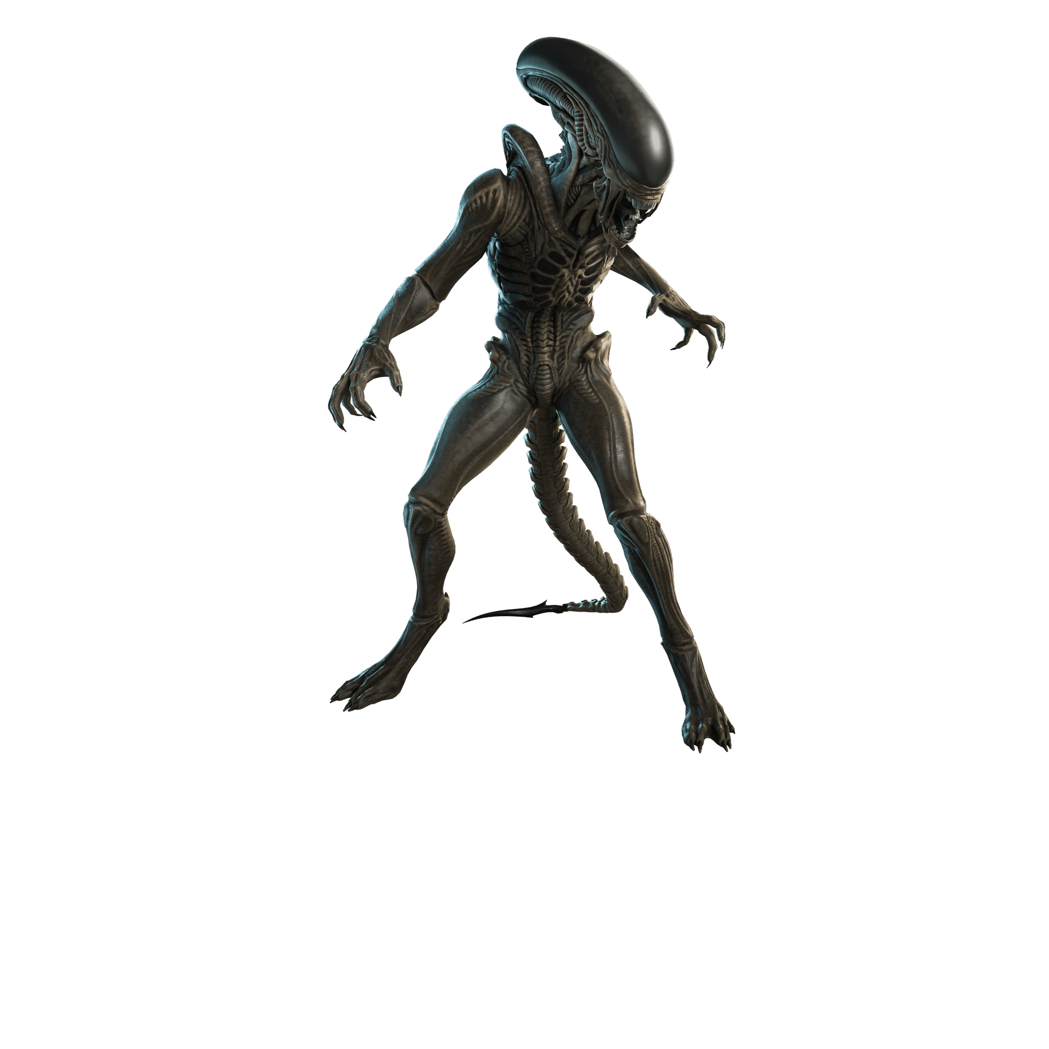 Xenomorph (Alien: Earth)