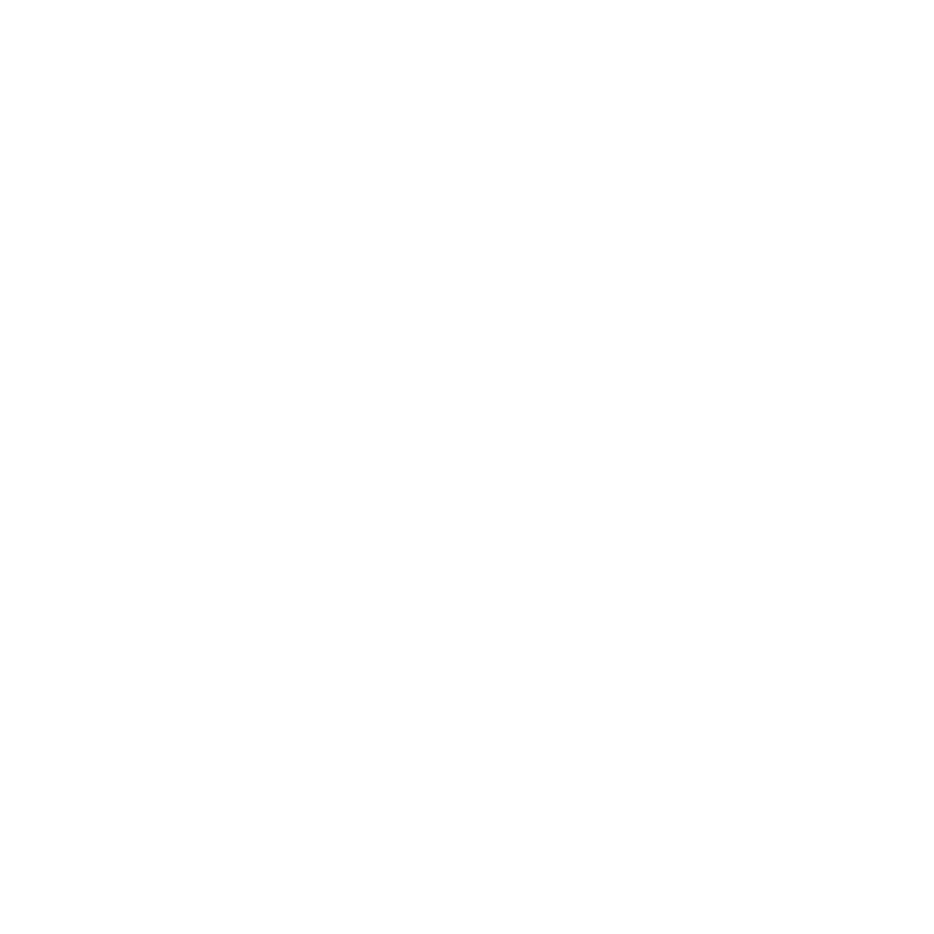 Peter Griffin Speed Bag