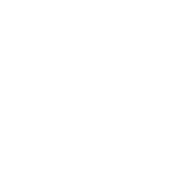 Lil' Prized Piggy Bank