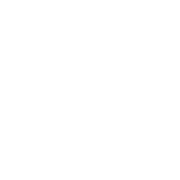 Air Jordan 4 "White Cement"