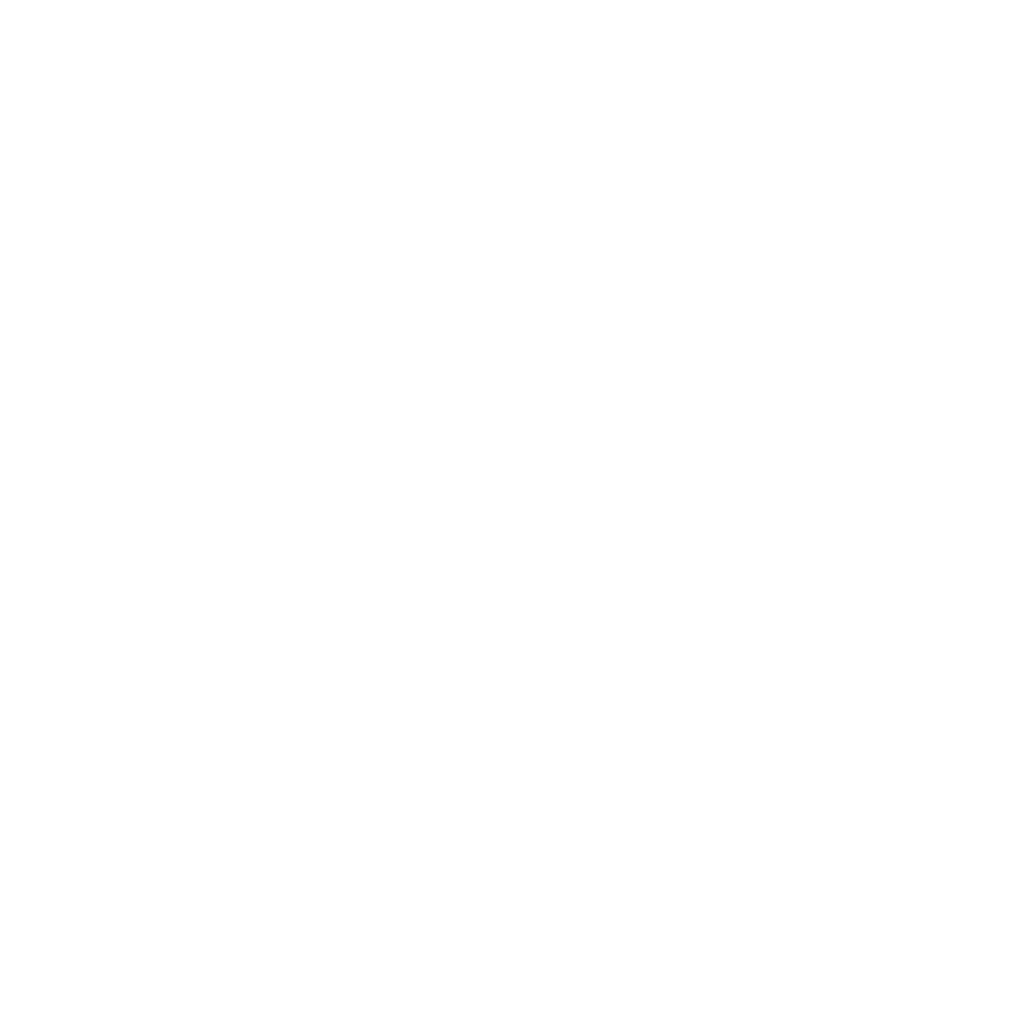 Shadow Play: Max Elephant